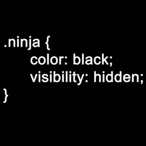 html-ninja